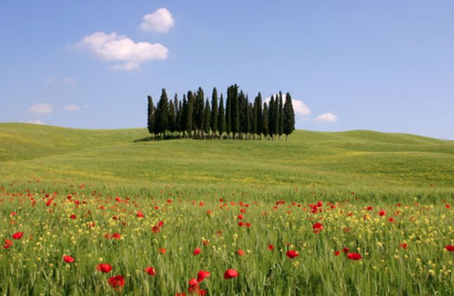 Estate in Toscana, operatori si preparano per rilancio turismo