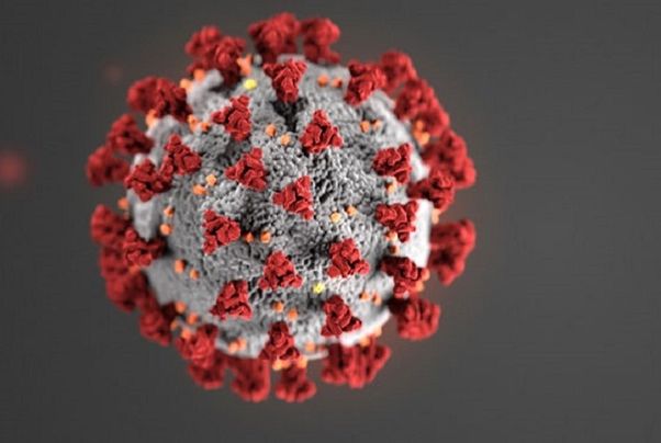 Osservatorio Salute, Bolzano e Trento prime dal 21/5 con zero casi Covid
