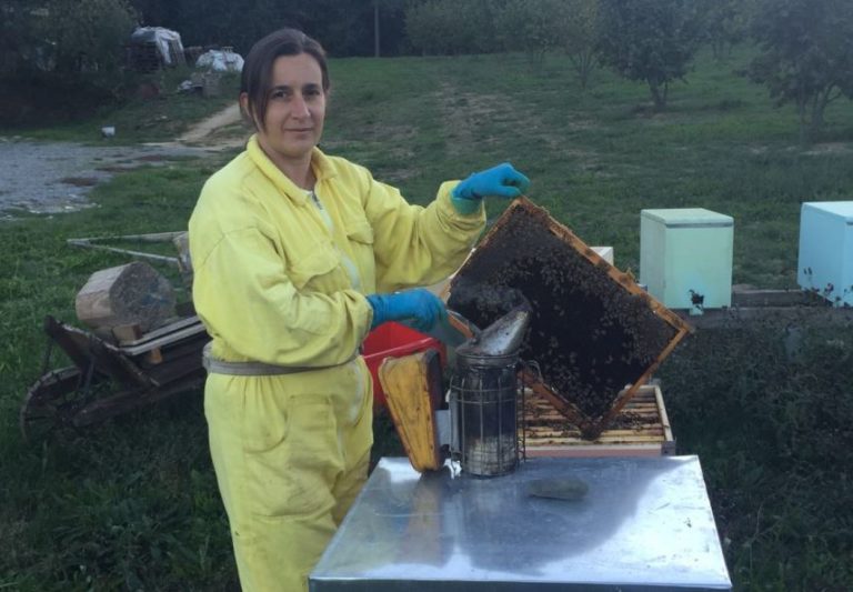 Il 20 maggio la Giornata mondiale dell’ape, Cia “specie da tutelare”