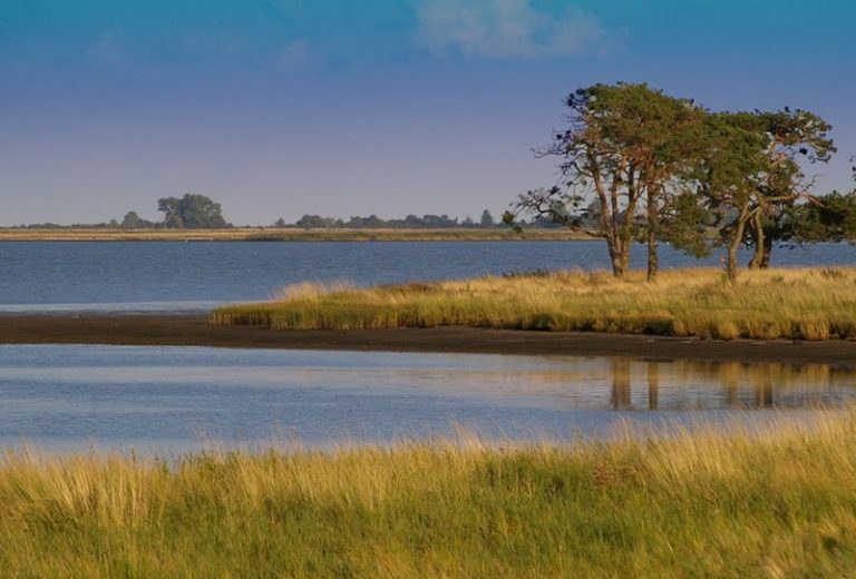 Rete Natura 2000, finanziamenti straordinari Parchi e Aree Marine