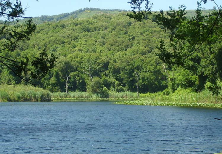 Domenica giornata delle Oasi Wwf per scoprire valore aree protette