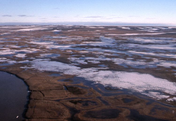 Clima, caldo record a maggio in Siberia