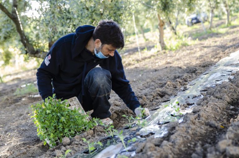Dalla “Pietra di scarto” opportunità occupazionali