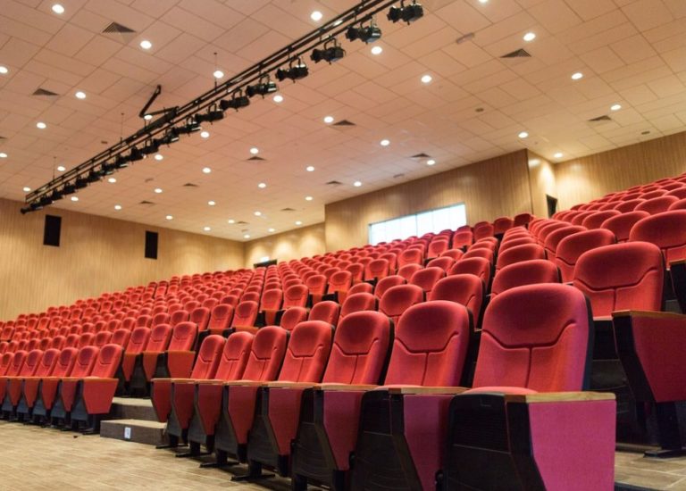 Franceschini “20 mln per le sale e 100 per tax credit”