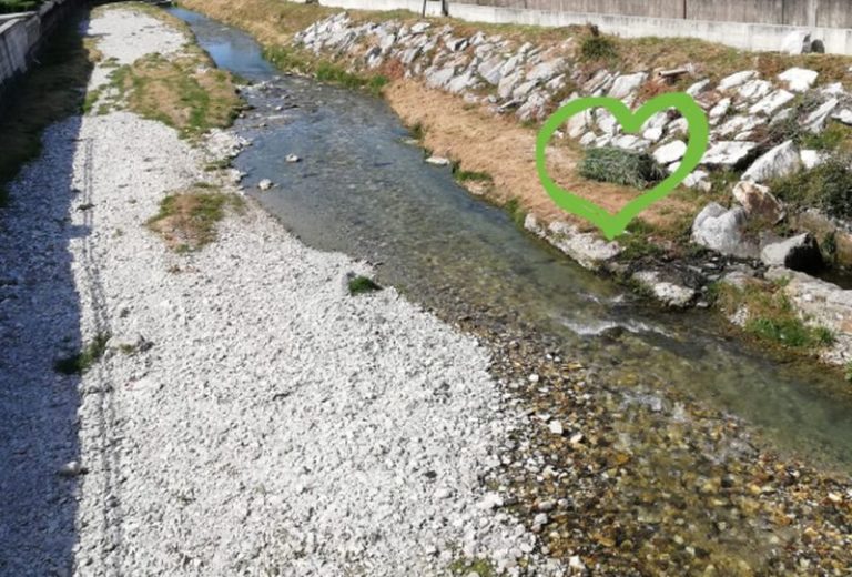 Biodiversità, nuova esperienza naturalistica in Versilia