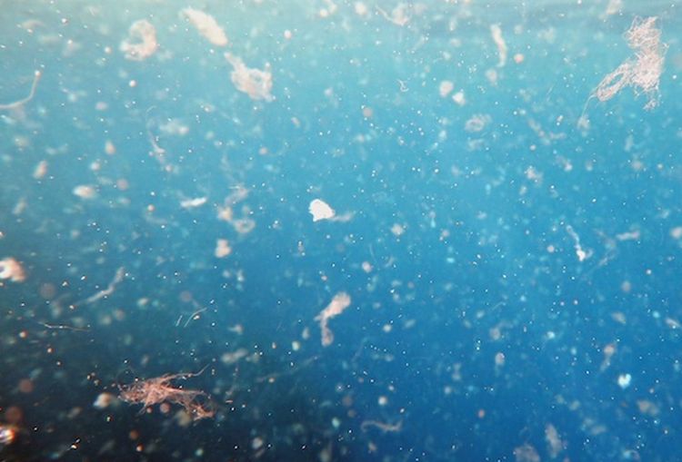 Al via il progetto Hotmic contro la microplastica nell’Atlantico