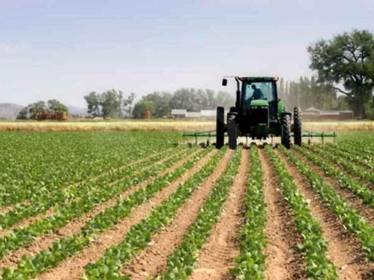 Calabria, 8 milioni a beneficiari comparto agroalimentare