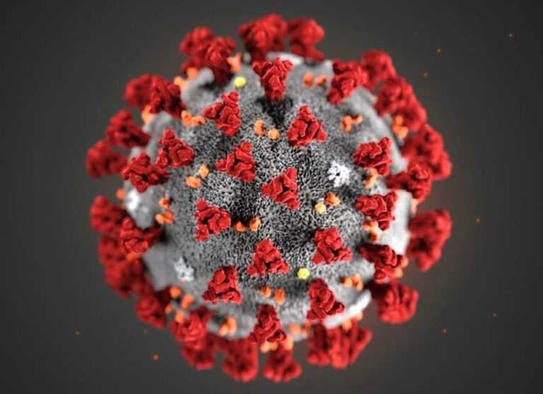 Coronavirus, una cinquantina di positivi alla Bartolini di Bologna