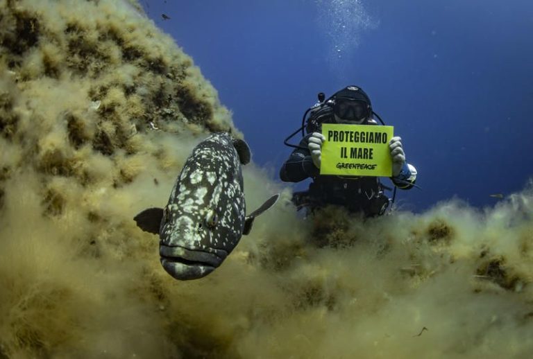 Greenpeace, parte nel Tirreno il tour “Difendiamo il mare”