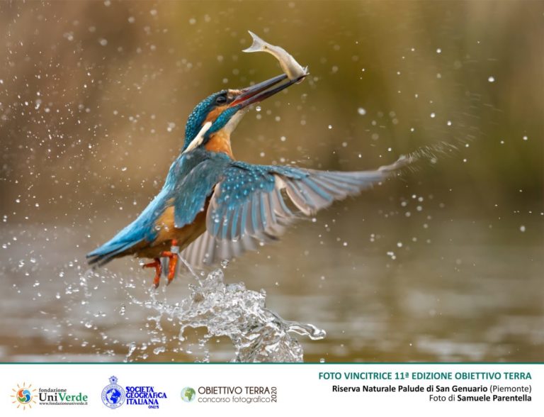 Obiettivo Terra 2020, scatti per sostenere le bellezze dell’Italia