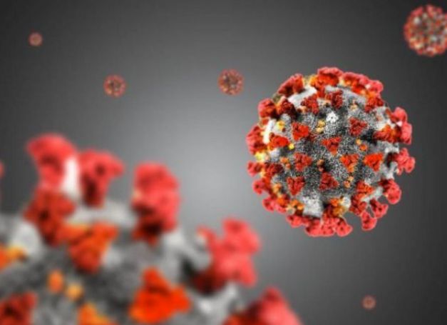 Coronavirus, in Piemonte 7 nuovi contagi e nessun decesso