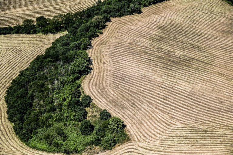 Cia “Subito legge su consumo di suolo, agricoltura sempre più a rischio”