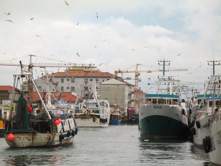 Coronavirus, il Veneto stanzia 8 milioni per aiutare le imprese ittiche