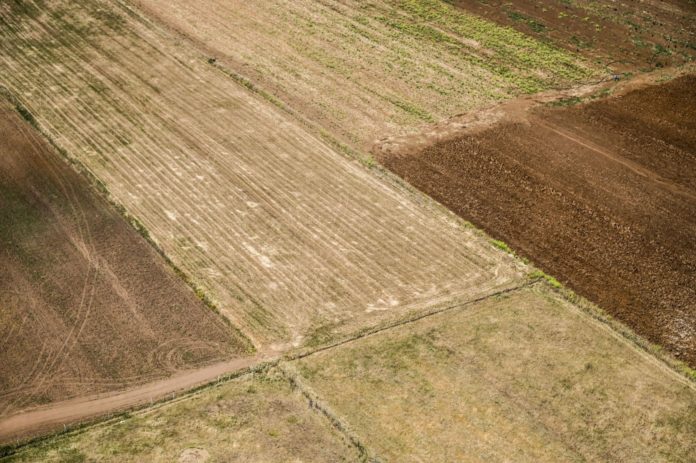 SORVOLO A BORDO ELICOTTERO