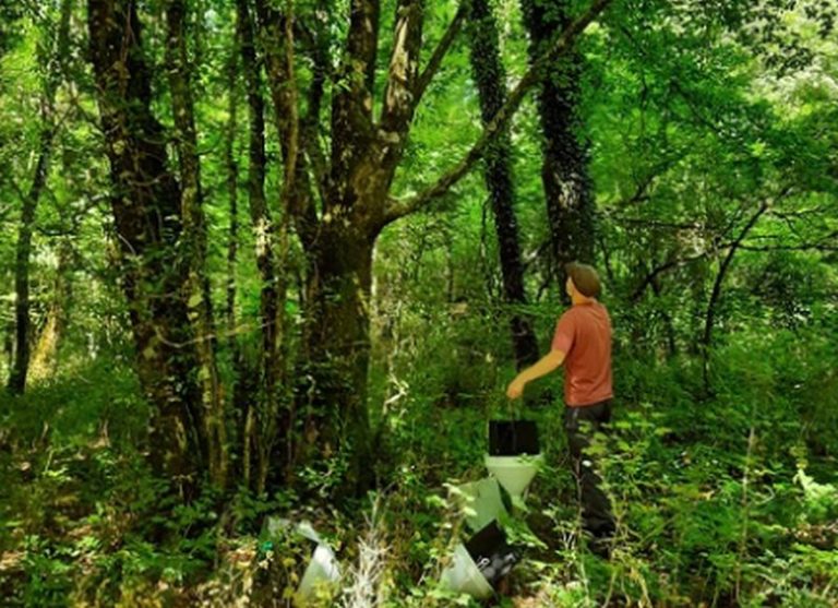 Riattivati i monitoraggi al Parco dei Castelli Romani