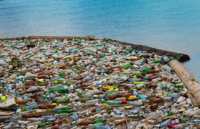 La plastica negli oceani potrebbe triplicare entro il 2040