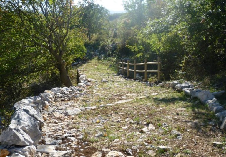 Nel Gargano c’è una foresta in attesa di essere piantata