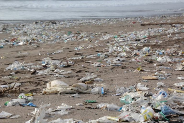 Protocollo ministero Ambiente-Corepla contro marine litter