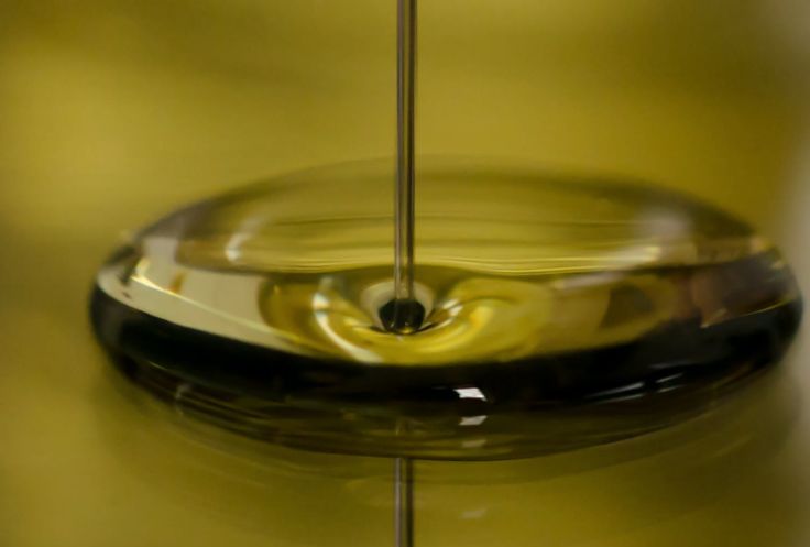 Bellanova “20 mln per acquisto olio oliva 100% italiano”