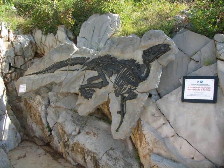 Nuova scoperta nel parco dei dinosauri di Duino Aurisina in Fvg