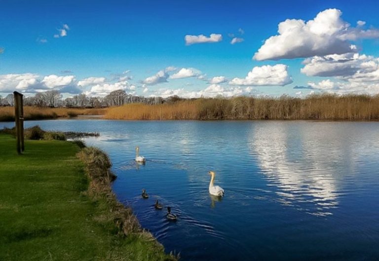 Quattro parchi lombardi in campo per incrementare il capitale naturale