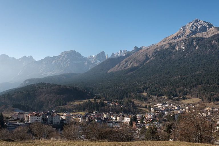 Trentino, catturato orso dopo l’aggressione a un carabiniere