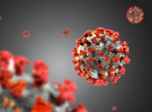 Coronavirus, al via allo Spallanzani test vaccino sull’uomo