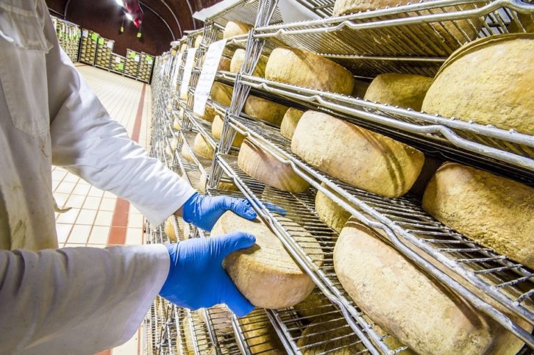 Agroalimentare, Toscana stanzia 1,2mln per il settore latte ovicaprino