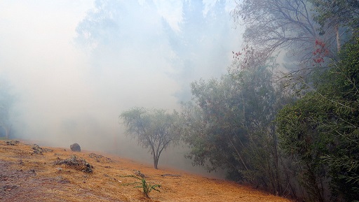 Allarme incendi, prorogato in Toscana il divieto di accendere fuochi