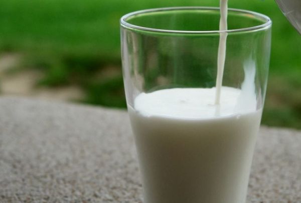 Latte ovino e caprino, nasce sistema regionale rilevazione in Sardegna