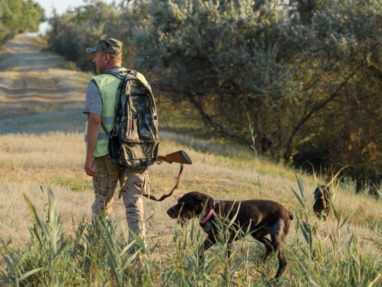 Al via in Calabria la stagione della caccia