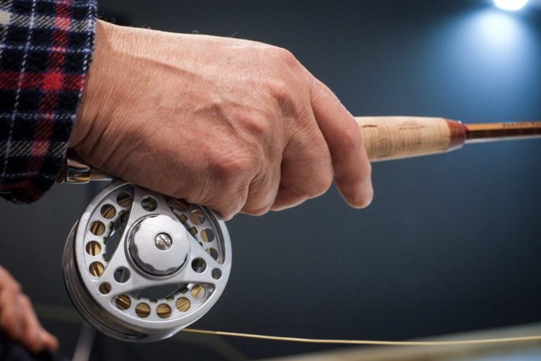 Pesca, bando da 1 mln per imprese venete danneggiate da crisi covid