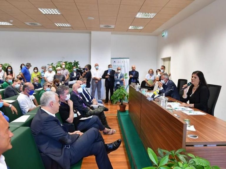 Agricoltura, da Regione Calabria 21 mln per settori in crisi per covid