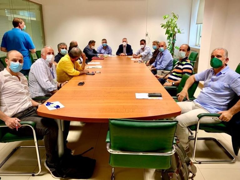 Regione Calabria punta su apicoltura,Gallo incontra associazioni settore