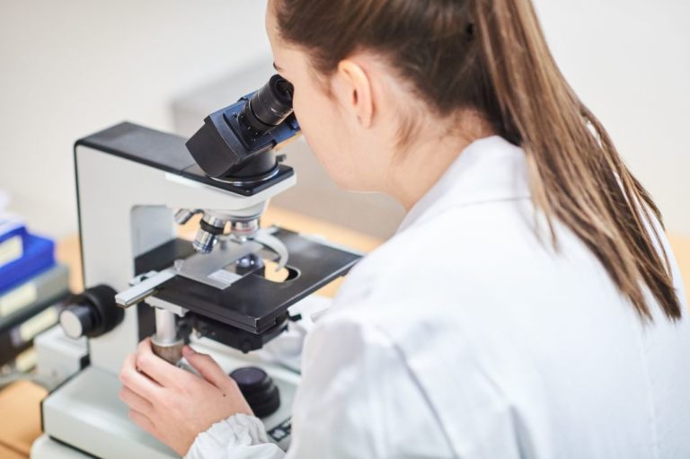 Veneto, Regione sigla intesa per promuovere raccolta cellule staminali