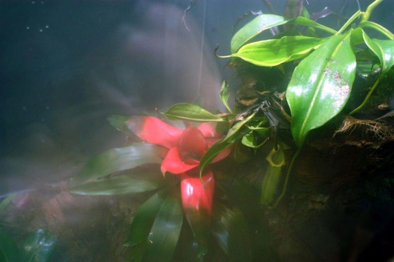 In Lombardia approvati interventi a favore della biodiversità