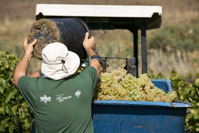 La cooperativa Verbumcaudo germoglia dove prima dominava la mafia