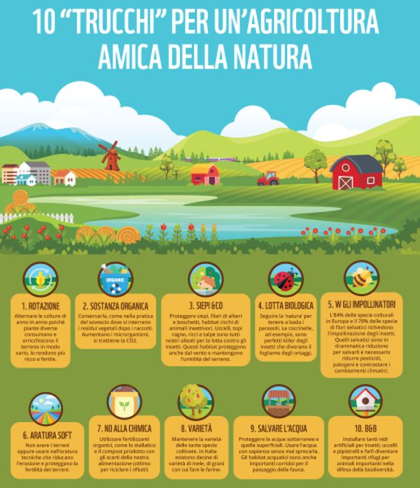 Agricoltura, per Wwf al top tra le cause di perdita di natura in Europa