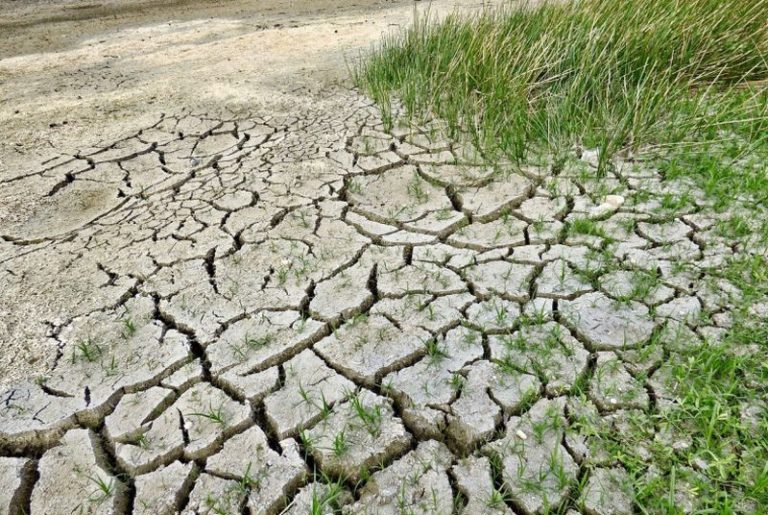 Clima, 2020 è anno più caldo di sempre in Europa