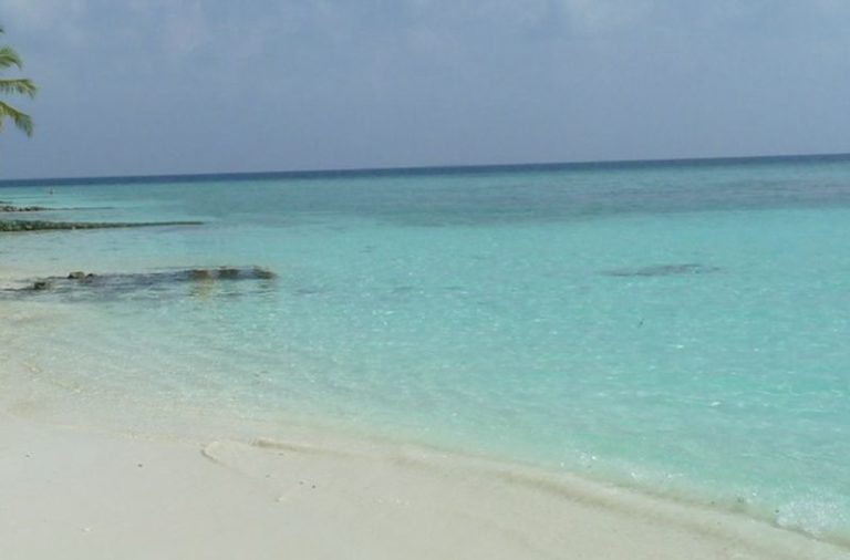 Best practice per la tutela del mare, Pecoraro Scanio “Polmone pianeta”