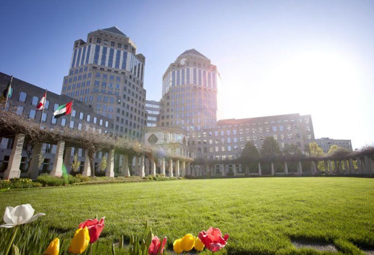 Procter&Gamble, il futuro è green