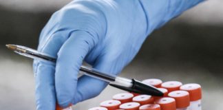 Coronavirus, in Molise 116 nuovi contagi e 4 morti