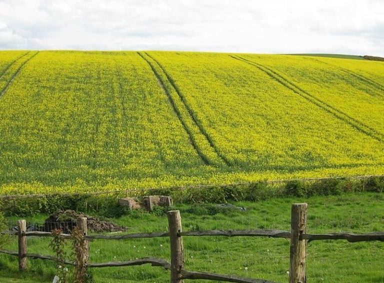 Agricoltura, in arrivo 30 mln per aree interne e zone montane