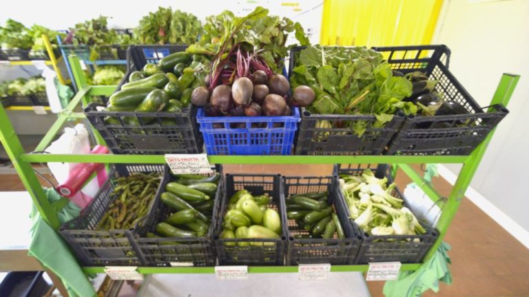 Finanziate tutte le domande “Bando biologico” Psr Lazio