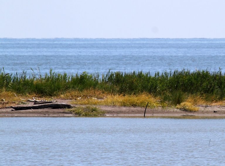 Emilia Romagna, per il mare del Delta del Po arriva la tutela ambientale