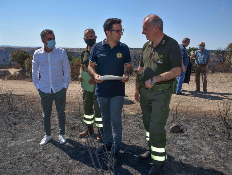 Diminuiti gli incendi in Sardegna, contro i roghi spesi 30 milioni