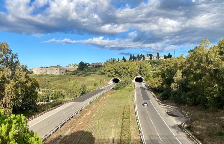Autostrade siciliane, Cas: “Progetto di cambiamento è esecutivo”