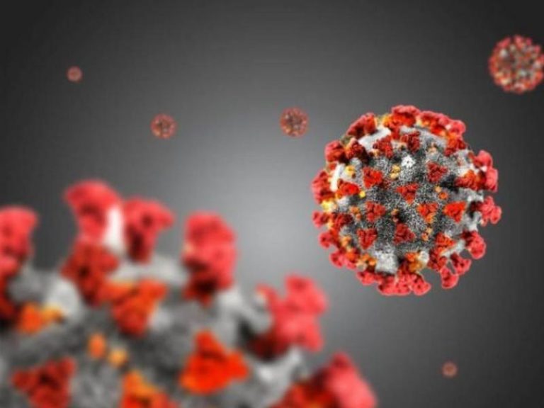 Coronavirus, in Sardegna 502 nuovi casi e 12 morti