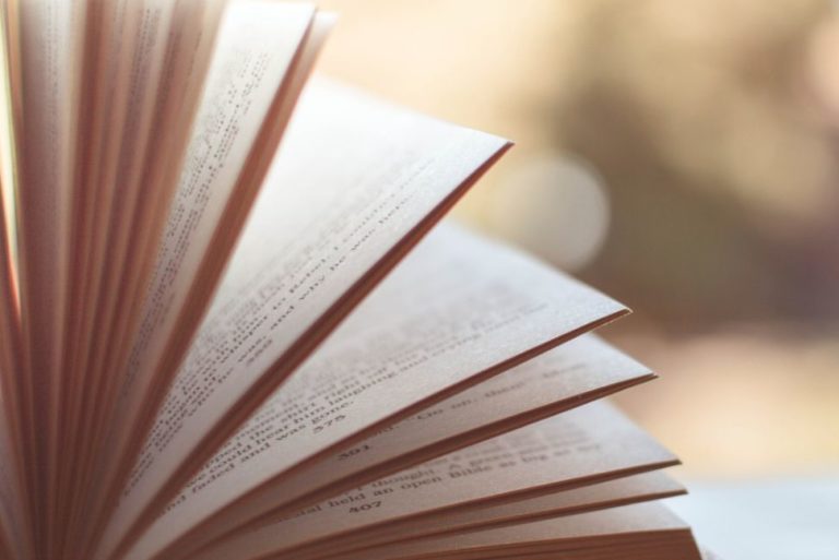 Bologna, arrivano nuovi libri alle biblioteche del Comune