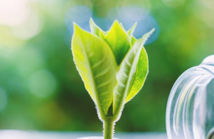 Certificazione Herambiente per impegno su sostenibilità